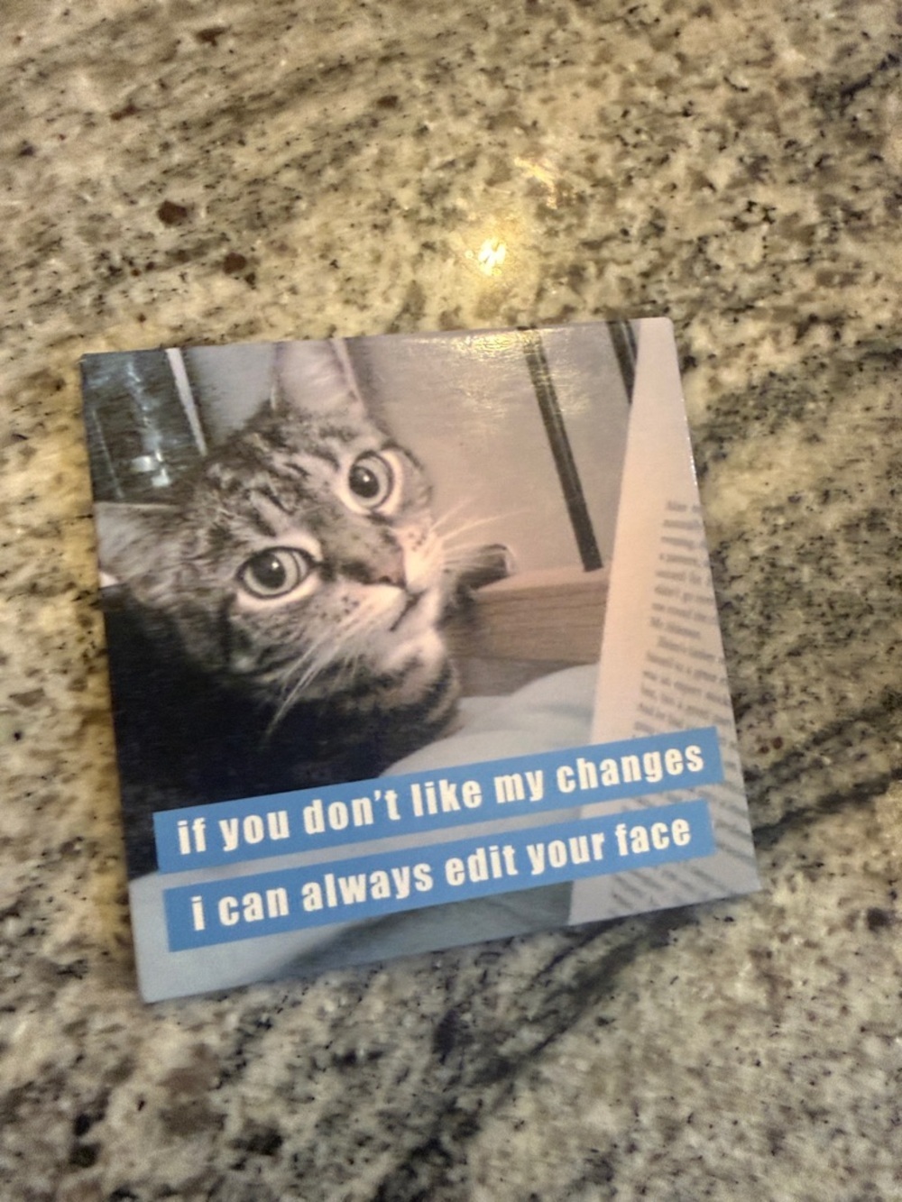 Gray Tabby Cat Magnet with Blue Caption - Whimsical Pet Accessory